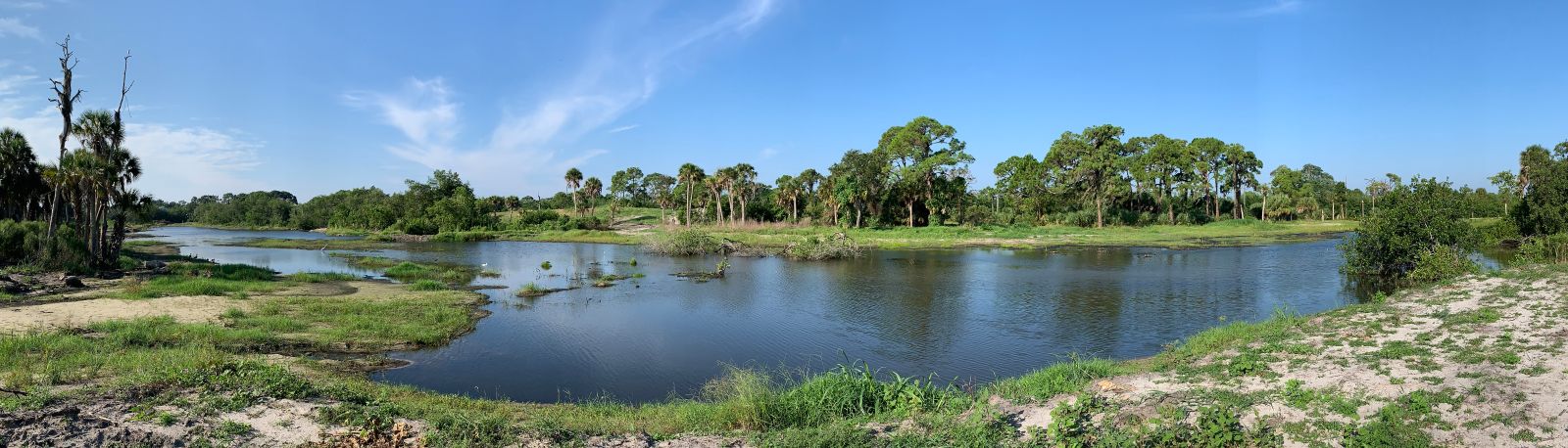 Wide-angle Photo of the New Lemon Creek Wetlands